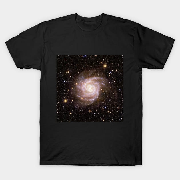 Euclid IC 342 Spiral Galaxy T-Shirt by RockettGraph1cs